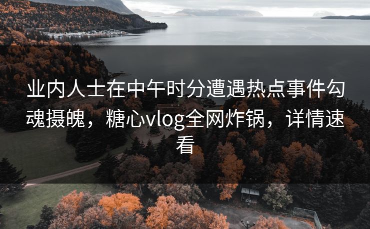 业内人士在中午时分遭遇热点事件勾魂摄魄，糖心vlog全网炸锅，详情速看