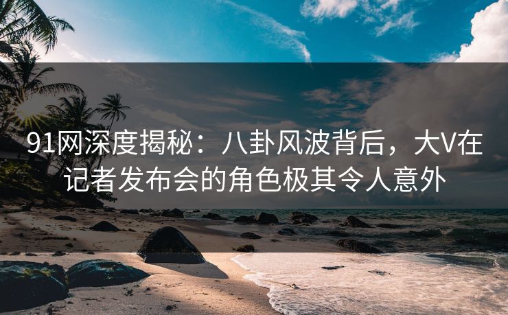 91网深度揭秘：八卦风波背后，大V在记者发布会的角色极其令人意外