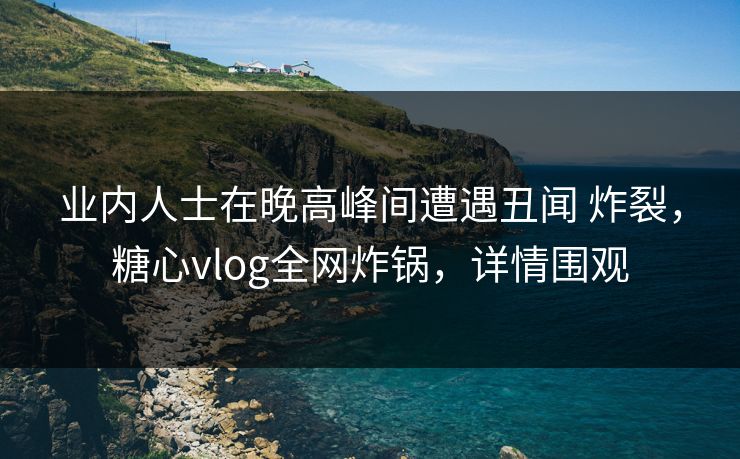 业内人士在晚高峰间遭遇丑闻 炸裂，糖心vlog全网炸锅，详情围观