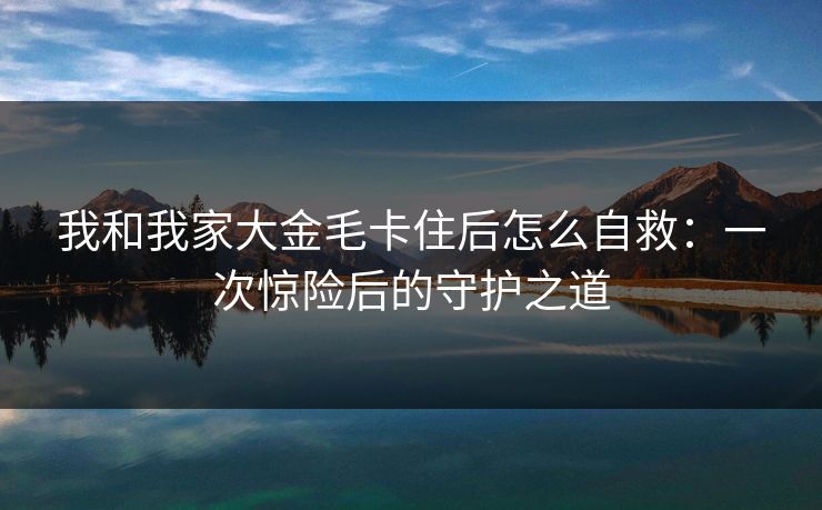 我和我家大金毛卡住后怎么自救：一次惊险后的守护之道
