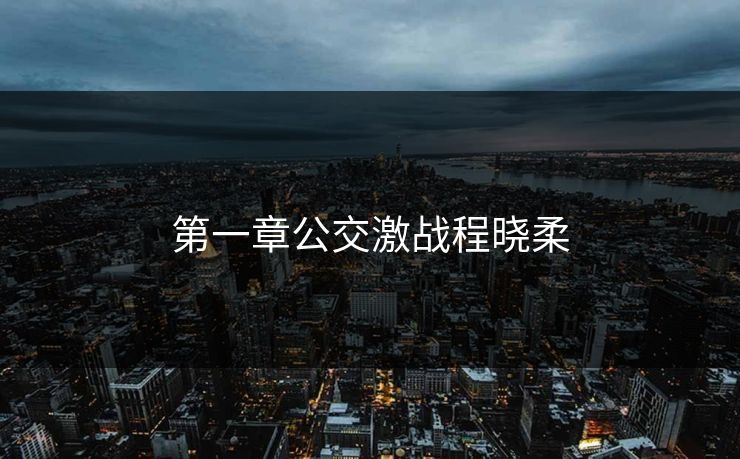 第一章公交激战程晓柔