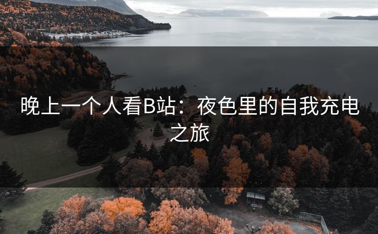 晚上一个人看B站：夜色里的自我充电之旅