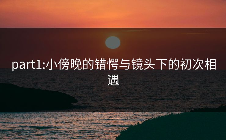 part1:小傍晚的错愕与镜头下的初次相遇